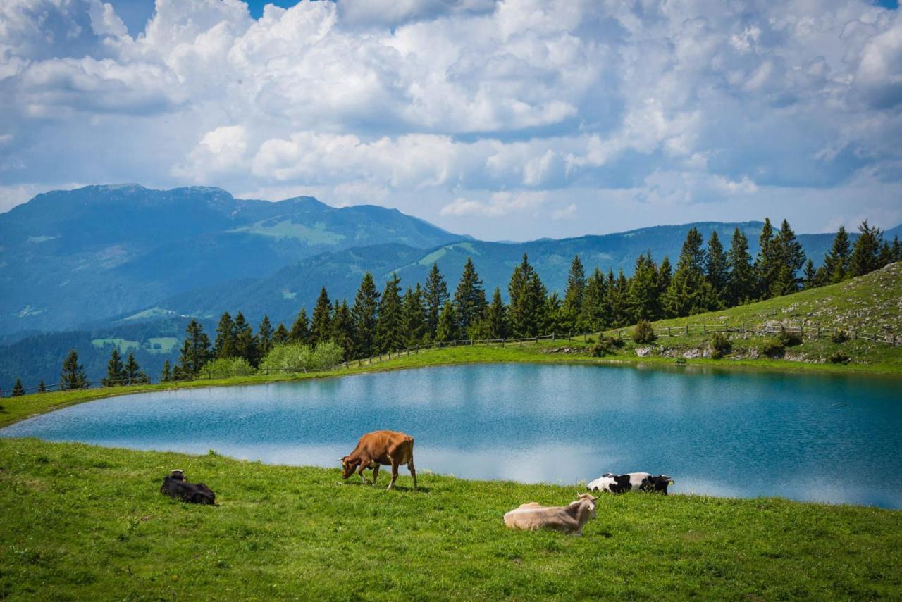 Wellness Hotel Montis Мозирє Екстер'єр фото